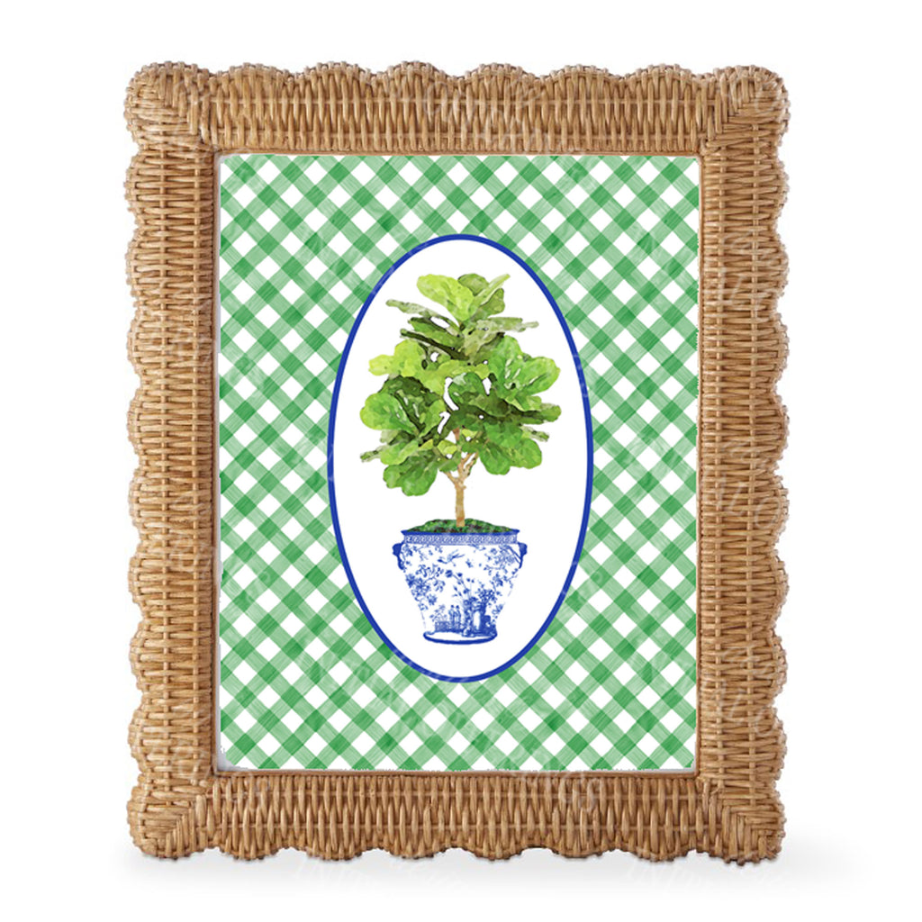 Fig Tree in Blue Planter Green Gingham Border Wall Art