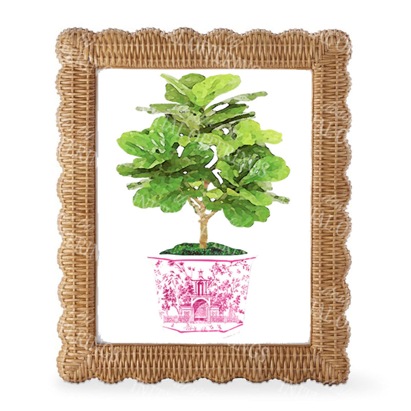 Fig Tree in Pink Planter Wall Art