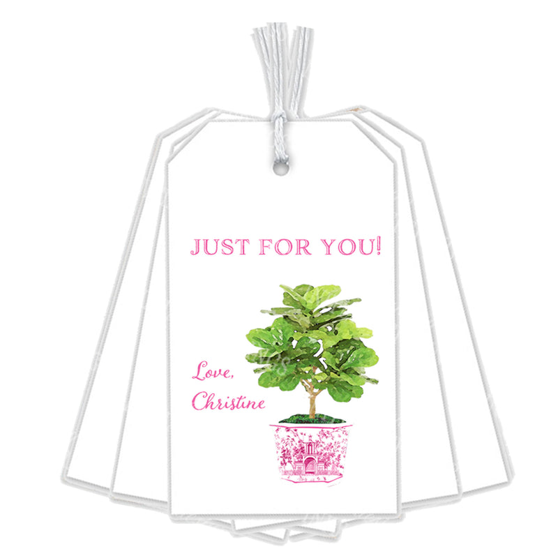 Fiddle Leaf Fig Plant in Pink Planter Gift Tags